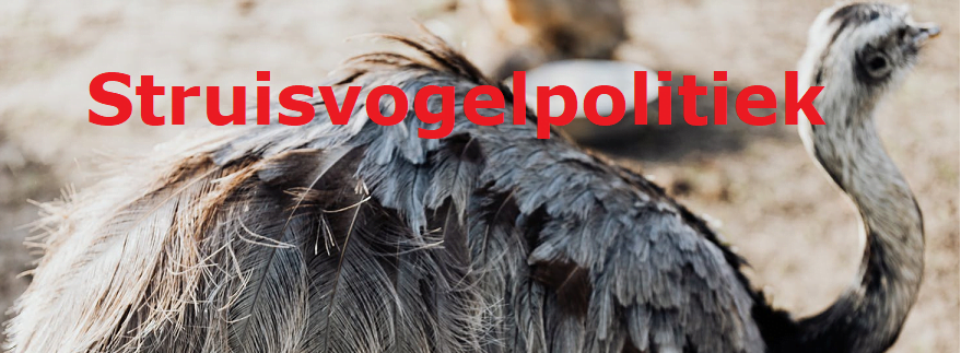 Hoe te voorkomen