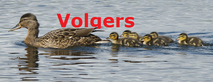Draagvlak creëren en houden