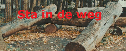 bij ecologische footprint
